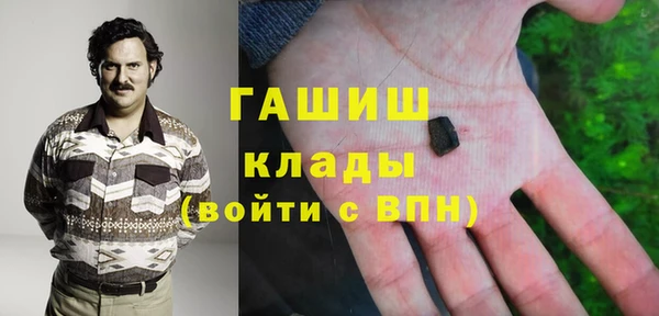 шишки Осташков
