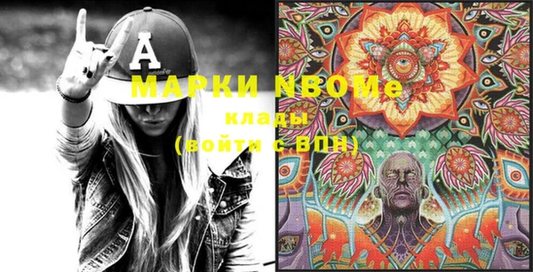 шишки Осташков