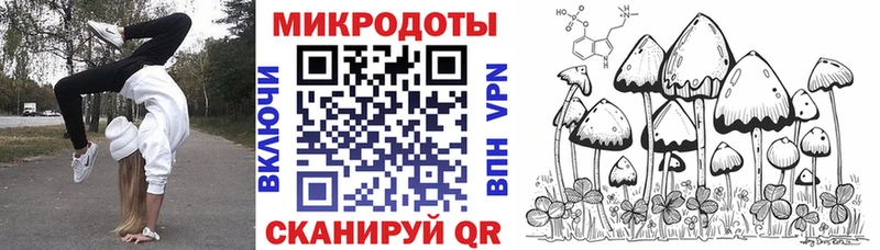 Галлюциногенные грибы Psilocybe  Игарка 